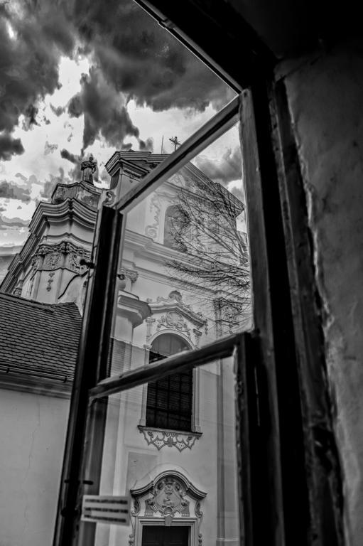 Penzion U Borovicku Litoměřice Dış mekan fotoğraf