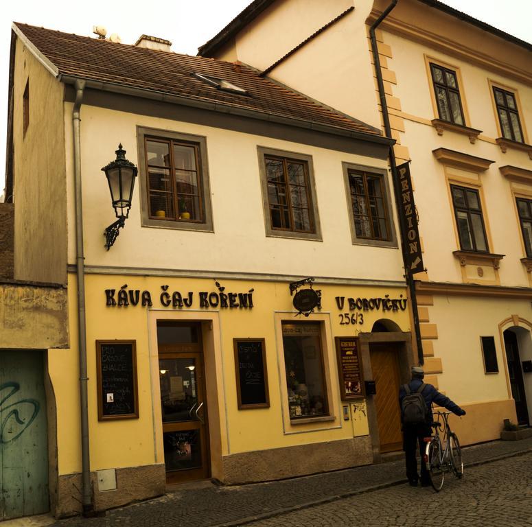 Penzion U Borovicku Litoměřice Dış mekan fotoğraf