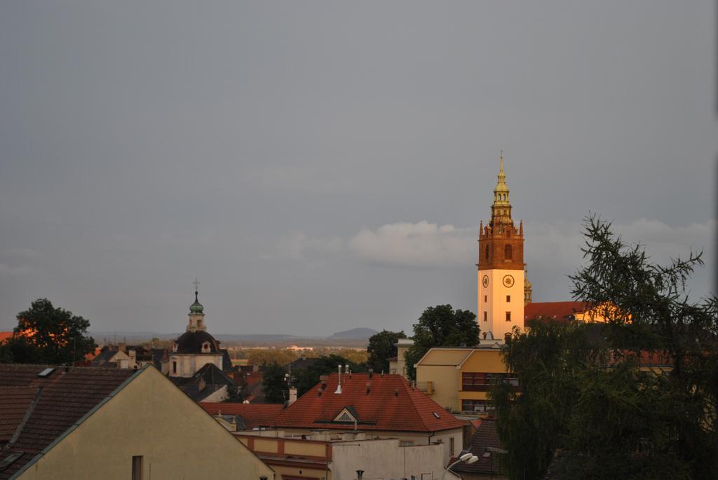 Penzion U Borovicku Litoměřice Dış mekan fotoğraf