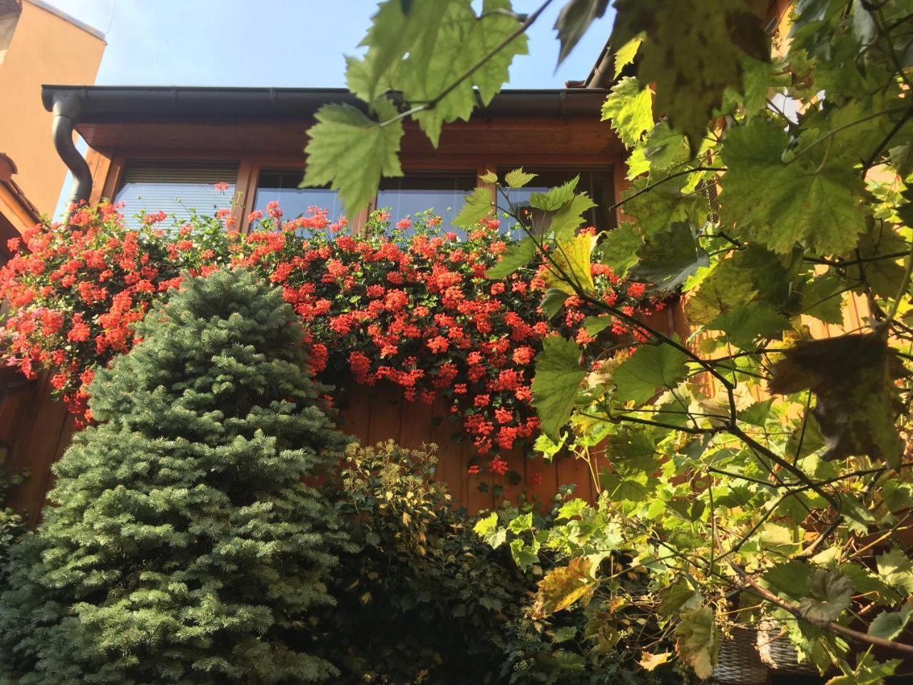 Penzion U Borovicku Litoměřice Dış mekan fotoğraf
