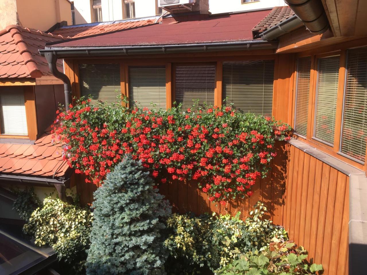 Penzion U Borovicku Litoměřice Dış mekan fotoğraf